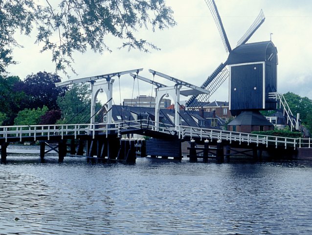 15-2 Leiden, the Netherlands, August 2000/ Bessa R Elmar 35mm Kodak EBX