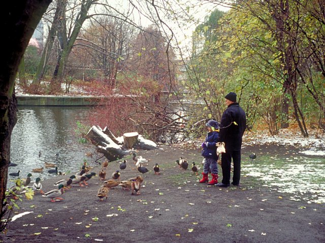 17-9 Tiergarten, Berlin, Germany, November 1999/ Leica Minilux Summarit 40mm Kodak EBX